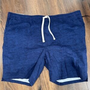 Goodfellow & Co Blue Men's Shorts